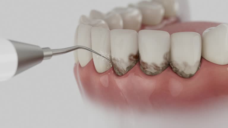Reliable Dental contractor in Columbus, MN by Dentist Open Now